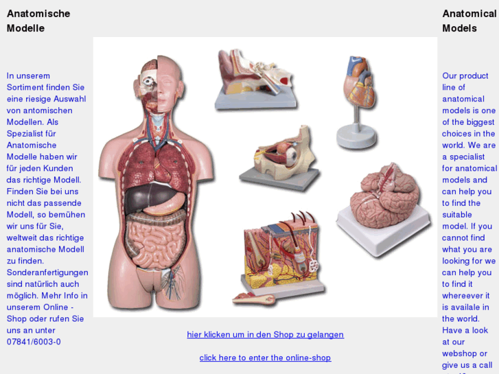 www.anatomie-modell.com