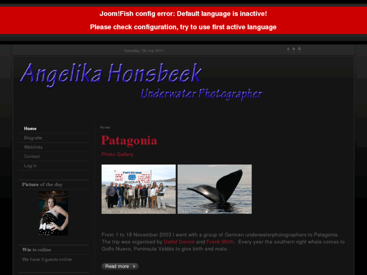 www.angelikahonsbeek.com