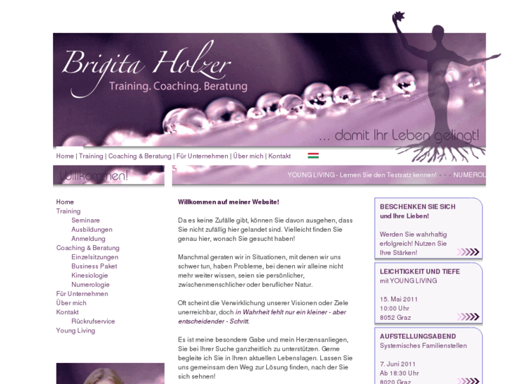 www.brigitaholzer.com