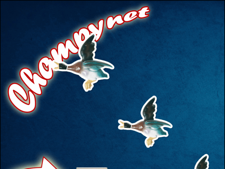 www.champy.net