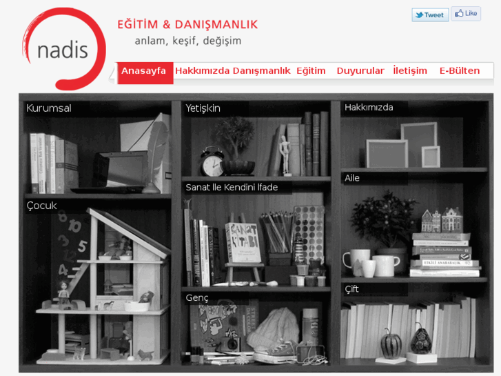 www.nadisdanismanlik.com