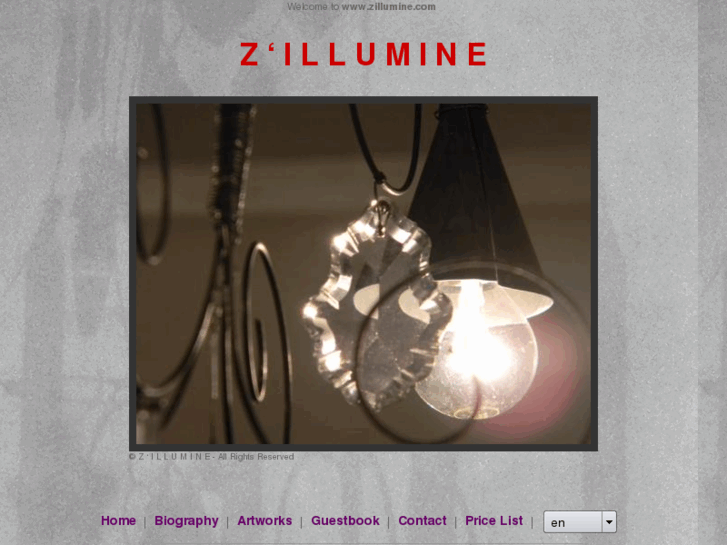 www.zillumine.com