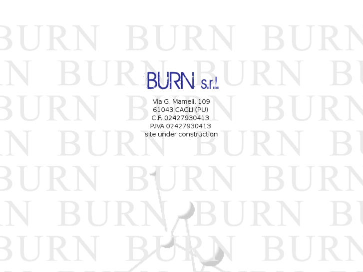 www.burnsrl.com