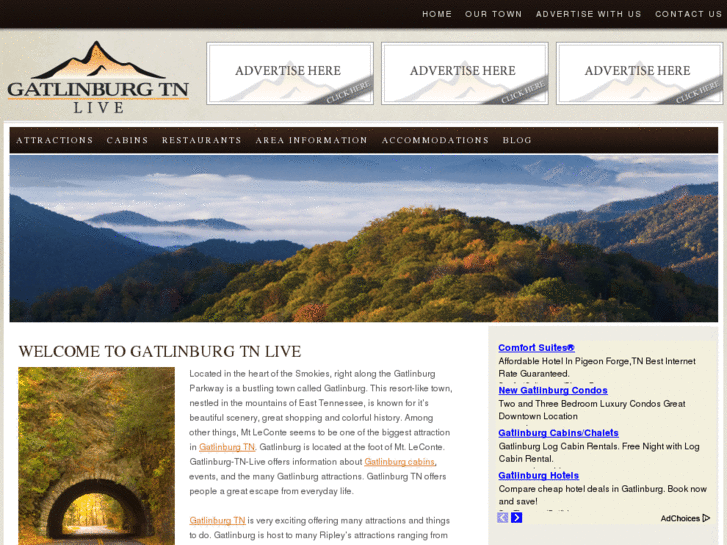 www.gatlinburg-tn-live.com