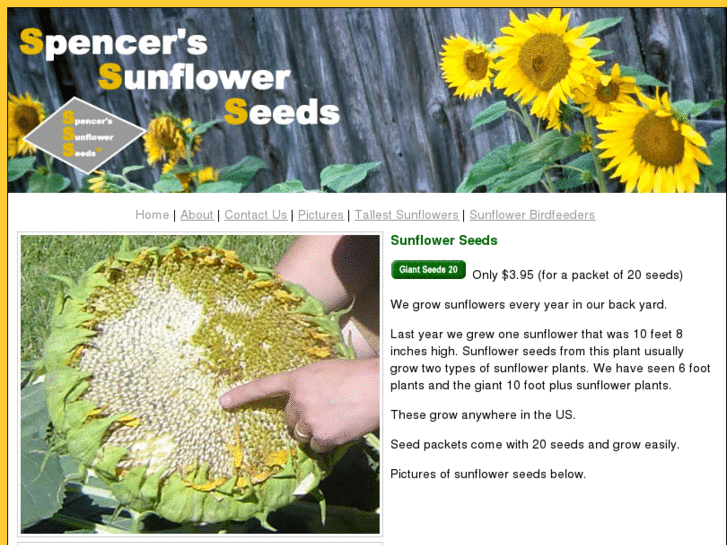 www.giganticsunflowers.com