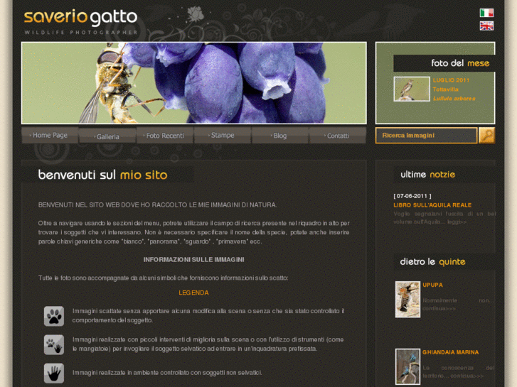 www.saveriogatto.com