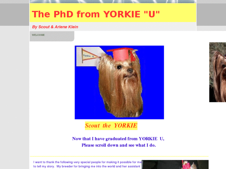 www.scouttheyorkie.com