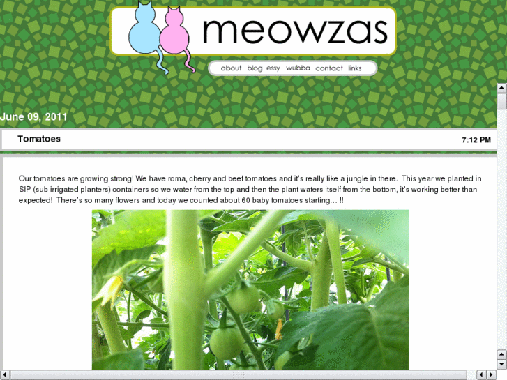 www.meowzas.com