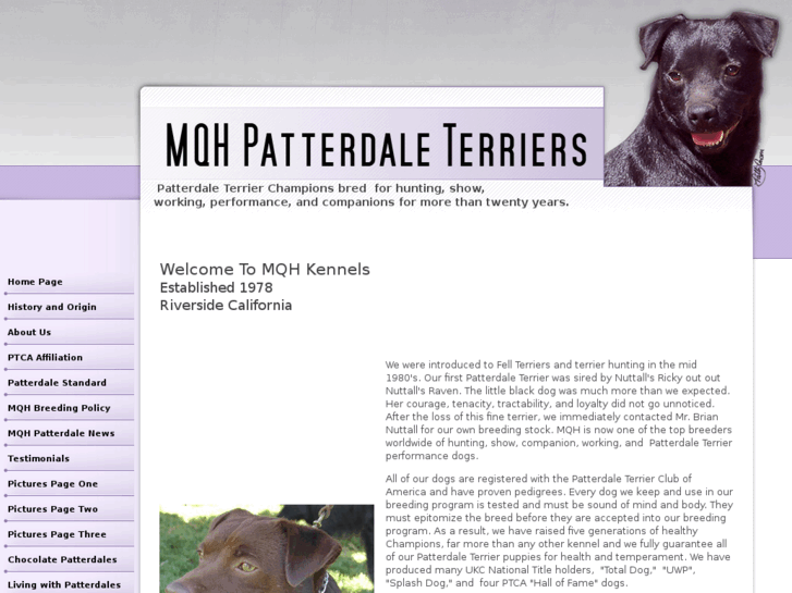 www.patterdaledogs.com