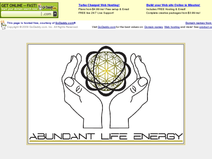 www.abundantlifeenergy.com