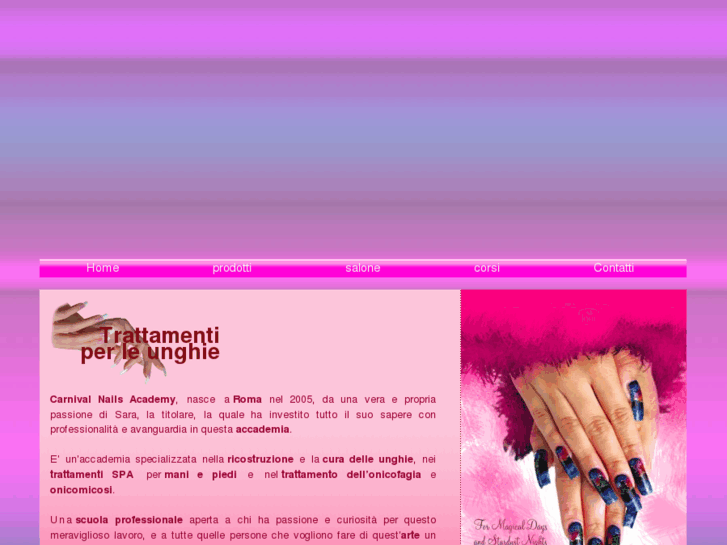 www.carnivalnailsacademy.com