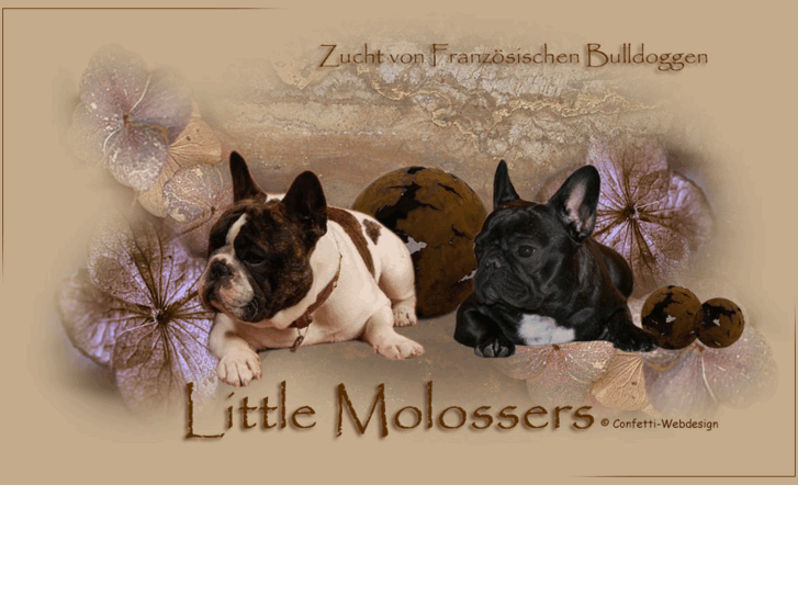 www.little-molossers.com