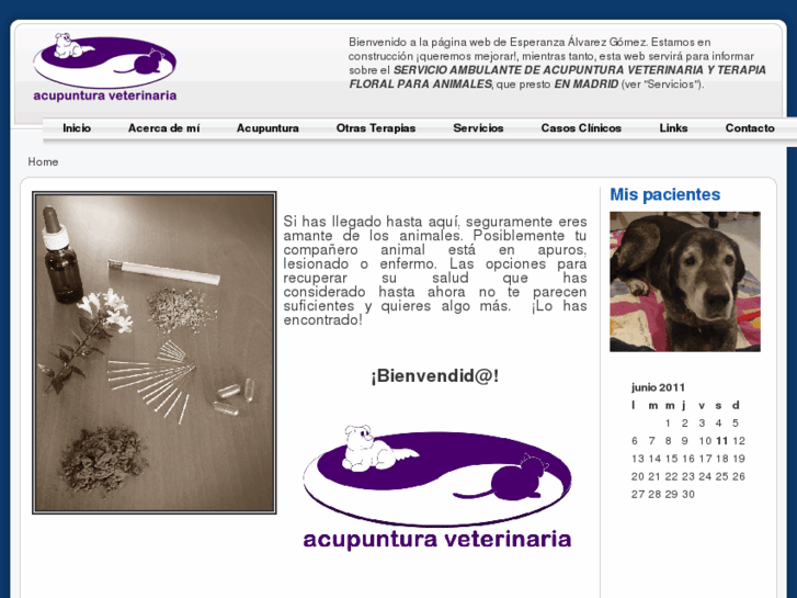 www.acupunturaenanimales.es