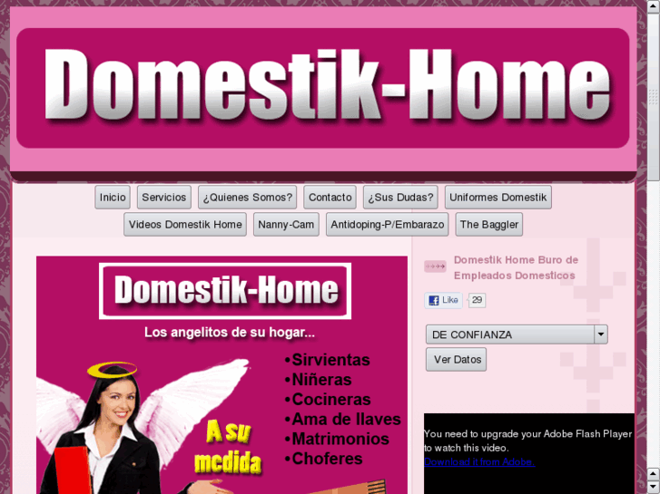 www.domestikhome.com