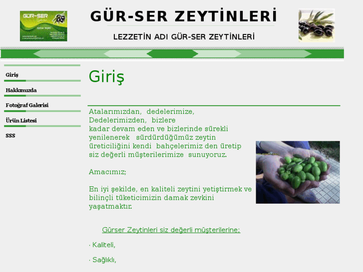 www.gurserzeytin.com