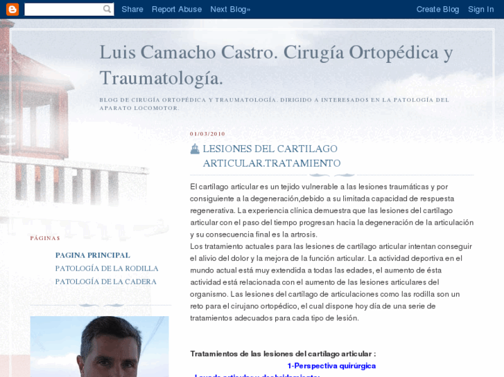 www.luiscamachocastro.com