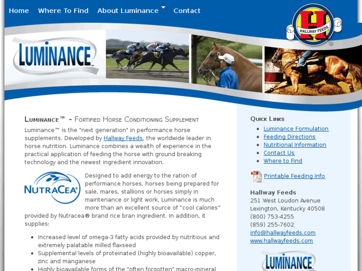 www.luminanceequine.com