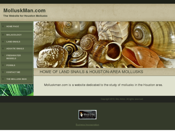 www.molluskman.com