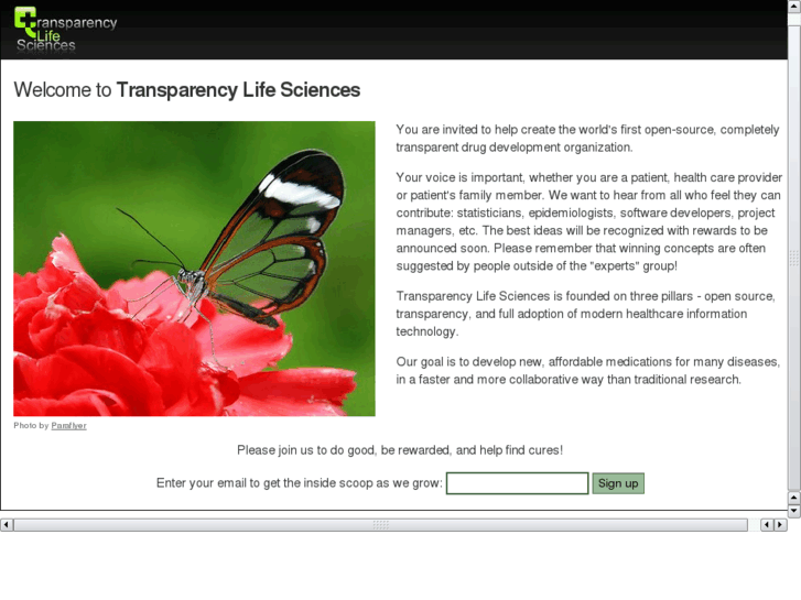 www.transparencyls.com