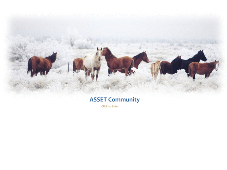 www.asset-intertech.net