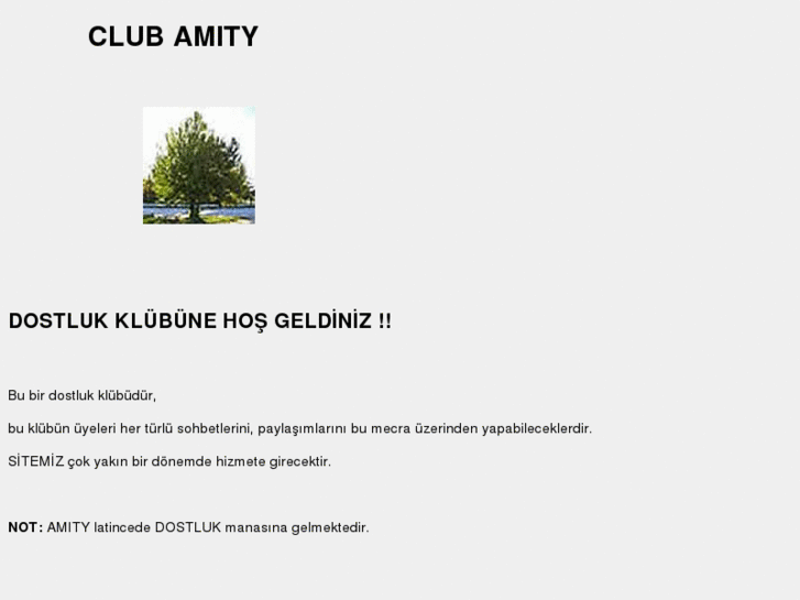 www.clubamity.com