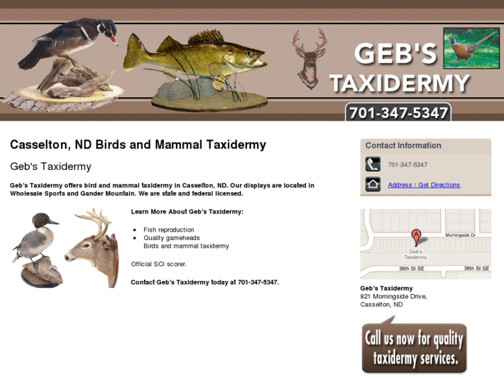 www.gebstaxidermy.net