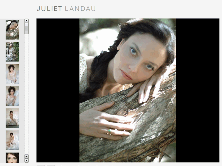 www.julietlandauphotos.com