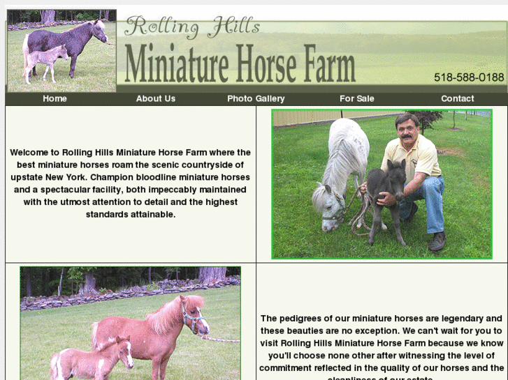 www.miniaturehorsefarm.net