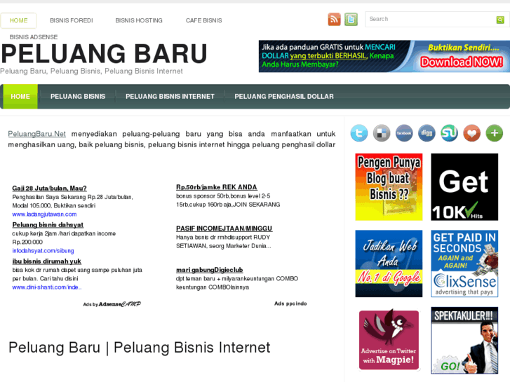 www.peluangbaru.net