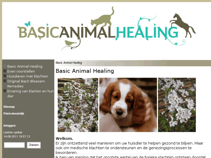 www.basic-animal-healing.com