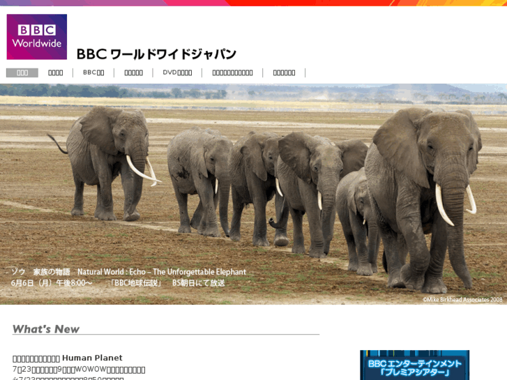 www.bbcjapan.co.jp