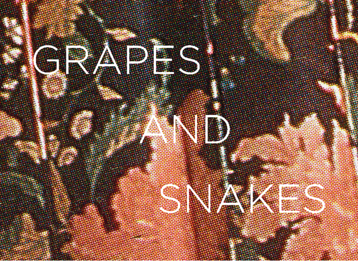 www.grapesandsnakes.com