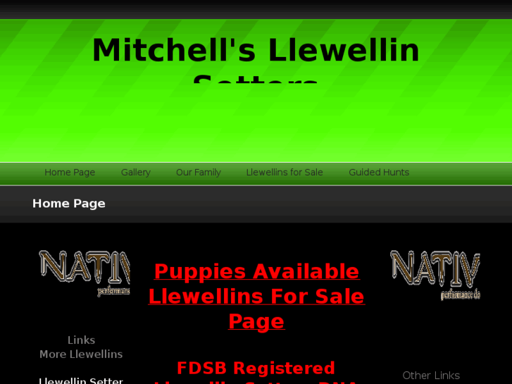 www.mitchellsllewellinsetters.com