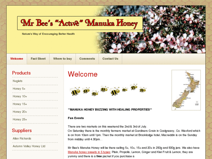 www.mrbeesmanuka.com