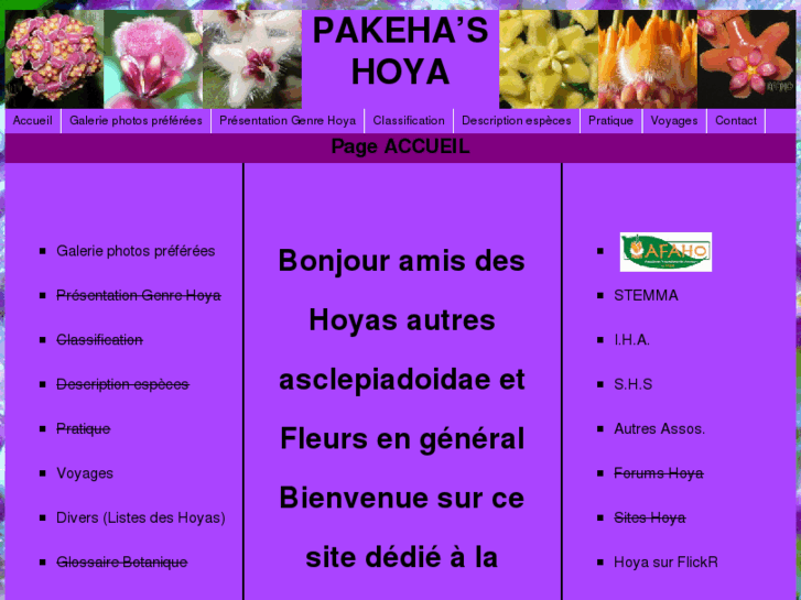 www.pakehas-hoya.com