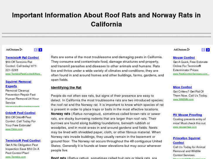 www.ratsincalifornia.com