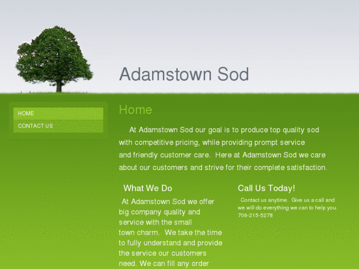 www.adamstownsod.com