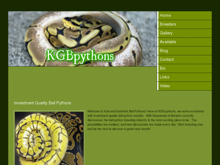 www.kgbpythons.com