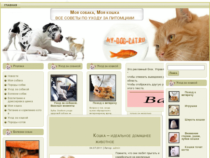 www.my-dog-cat.ru