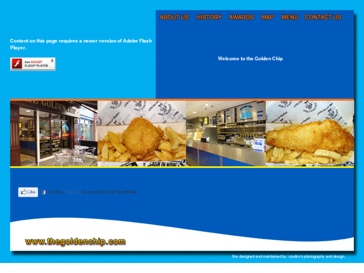 www.thegoldenchip.com