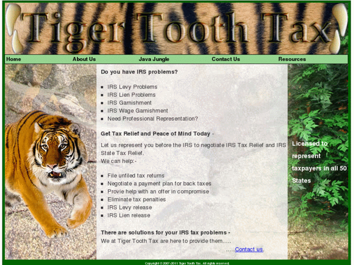 www.tigertoothtax.com