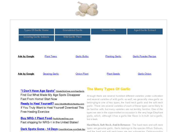 www.typesofgarlic.com