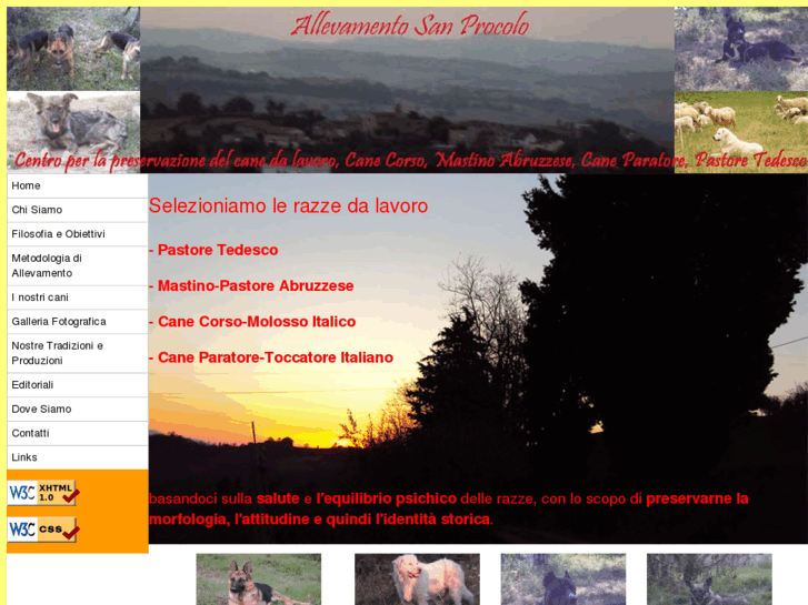 www.allevamentosanprocolo.com