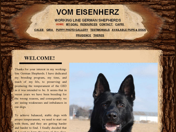 www.bettergermanshepherds.com