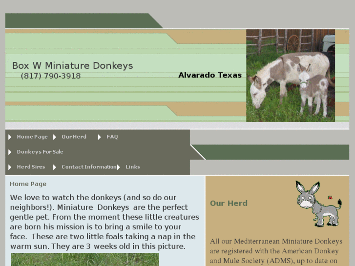 www.boxwdonkeys.com