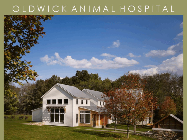 www.oldwickanimalhospital.com