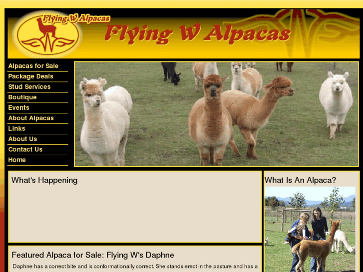 www.flyingwalpacas.com