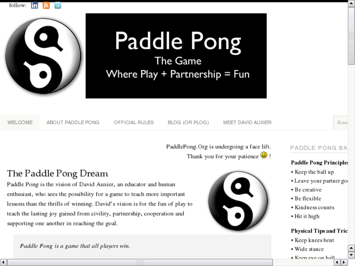 www.paddlepong.com