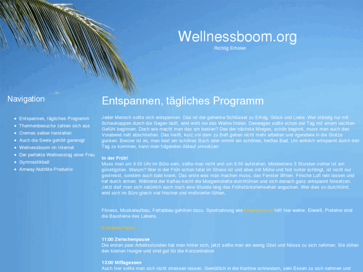 www.wellnessboom.org