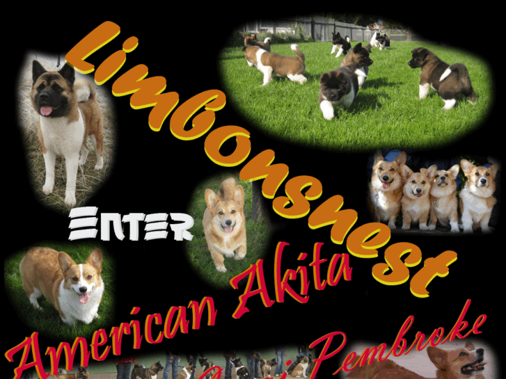 www.american-akita.org